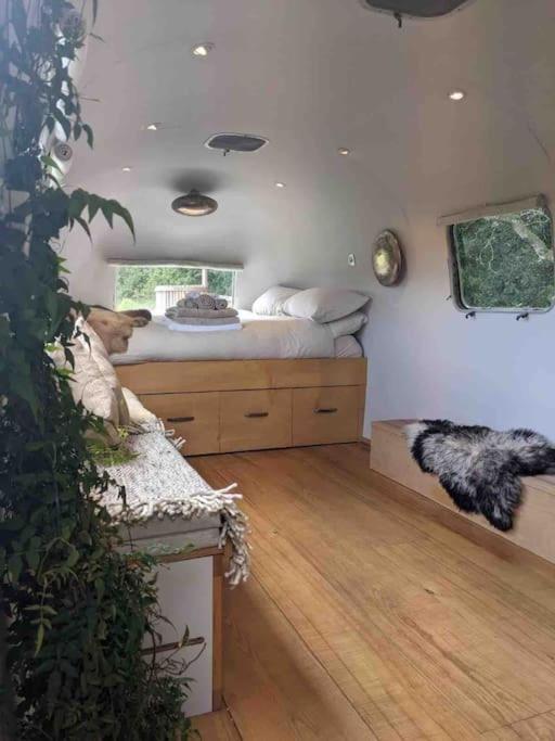 Airstream, Vintage American Caravan & Hottub Ashburton Extérieur photo
